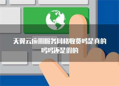 應(yīng)用服務(wù)網(wǎng)格 性價比與安全性的全面解析